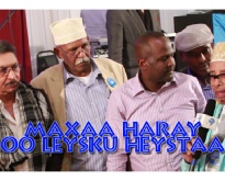 Maxaa Haray Oo Leysku Heystaa | Riwaayad Somali
